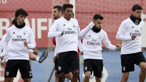 Os sete miúdos que dão novo recorde ao Benfica