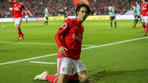 Empresa que representa João Félix defende avançado e lança críticas a Bino