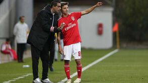 Formação do Benfica tem mais oito pérolas à espreita de um lugar entre a elite: saiba quem são