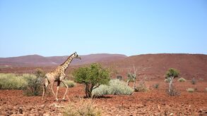Aventura na Namíbia: Um encontro com a natureza