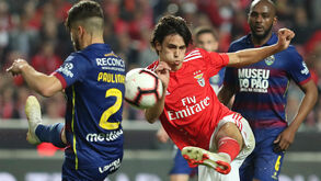 Os jogadores do Benfica um a um: Nas asas de João Félix