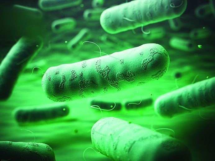 Legionella