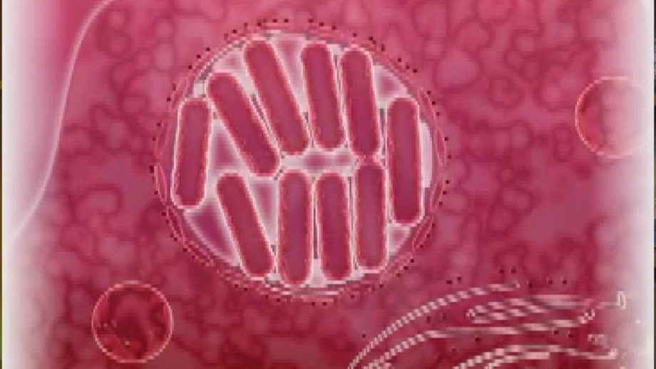 Surto de Legionella pode entrar em fase favorável
