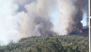 Incêndio descontrolado em Barcelos mobiliza dois meios aéreos
