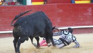 Matador Enrique Ponce foi colhido por um touro em Valência