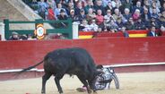 Matador Enrique Ponce foi colhido por um touro em Valência