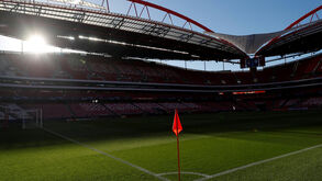 Benfica SAD apresenta lucro de mais de 14 milhões de euros no 1.º semestre