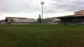 Câmara da Figueira da Foz quer ver autores de furtos no José Bento Pessoa punidos