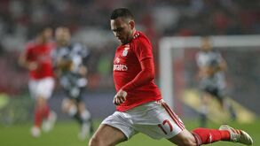Zivkovic confortado por Tiago Pinto