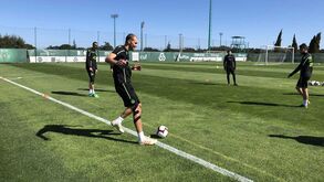 Bas Dost treina sem limitações e é opção para jogo com o Santa Clara