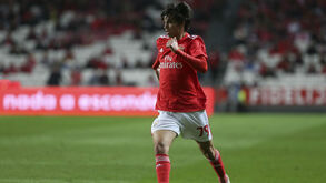 João Félix e a cláusula de 120 milhões: «Disparatado? À partida sim, mas não percebo nada de mercado»