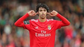 João Félix não pensa sair: «Estou bem no Benfica»