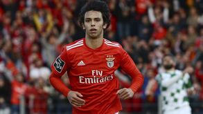 João Félix e a estreia na convocatória da Seleção: «Estava de pijama quando soube»