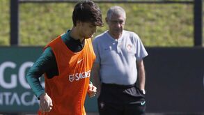 Fernando Santos e a dor de João Félix: «Vamos ver como reage»