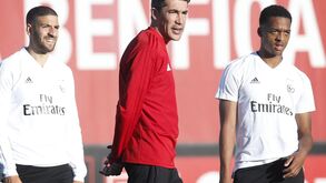 As imagens da 'segunda vida' de Taarabt no Benfica: mais de três anos depois está de volta aos convocados