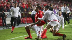 Golo de Seferovic deixou jogadores benfiquistas à beira da loucura: as imagens da festa