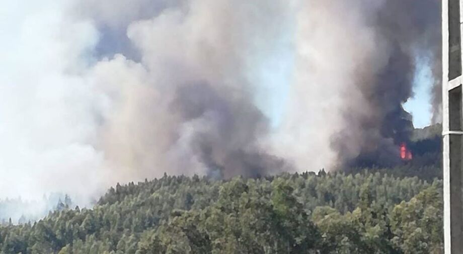 Incêndio descontrolado em Barcelos mobiliza dois meios aéreos