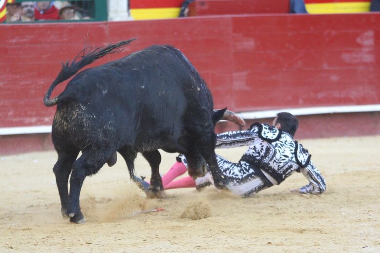Matador Enrique Ponce foi colhido por um touro em Valência