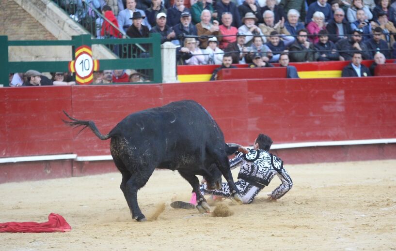 Matador Enrique Ponce foi colhido por um touro em Valência