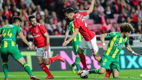 Conselho de Disciplina da FPF vai abrir processo disciplinar ao Benfica