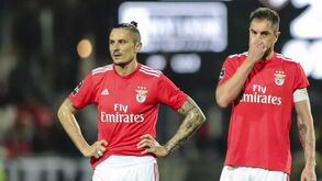 A lista de convocados do Benfica: Fejsa e Jardel do onze para a bancada