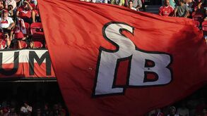 Gomes da Silva: «Será admissível que o Benfica pague em comissões cerca de 15% do orçamento?»