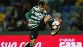 Racing nega ilegalidades