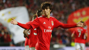 Vieira protege João Félix