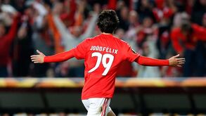 Benfica reafirma: não há negociações com o Atlético Madrid por João Félix