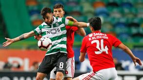 Bruno Fernandes: «FC Porto é uma equipa mais adulta do que o Benfica»