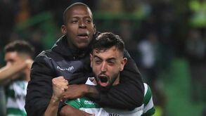 Bruno Fernandes: «No outro dia o Borja pediu-me para que fosse comprar uma máquina de barbear»