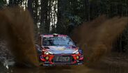 Thierry Neuville 
