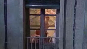 Recuperado vídeo com striptease 'tórrido' da mulher de Sergio Ramos