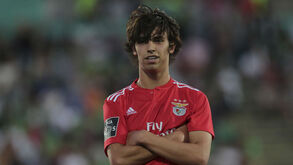 Erro informático coloca João Félix no plantel do Barcelona