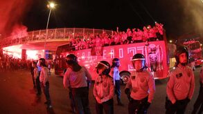 Pelo menos 20 pessoas detidas no jogo e festejos junto ao Estádio da Luz