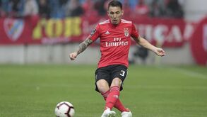 Grimaldo: «Tenho contrato, estou contente, mas vamos ver o que acontece»