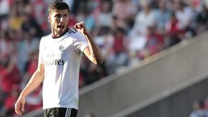 Rúben Dias, a agressividade em campo e a divisão do mérito entre Rui Vitória e Bruno Lage