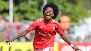 Benfica garante subida à I Liga de futebol feminino