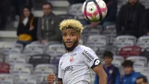 Projeto do leão convence Rosier