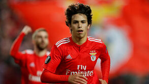 Jorge Jesus: «João Félix é um grande jogador»