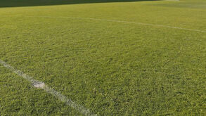 Linhas de fora de jogo vão ser implementadas na próxima época em Portugal