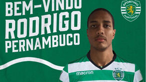 Rodrigo Pernambuco reforça Sporting