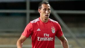 Lema desperta cobiça árabe