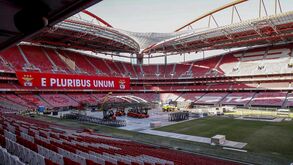 Aluguer da Luz dá para comprar... dez relvados