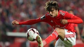 Vieira não facilita no negócio João Félix: 120 M€ ou nada