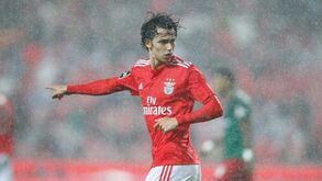 Javier Balboa: «É uma loucura pagar 120 milhões por João Félix»