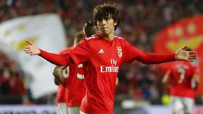 Benfica confirma proposta do At. Madrid por João Félix 