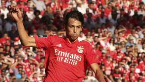 Ações do Benfica 'disparam' à conta de João Félix
