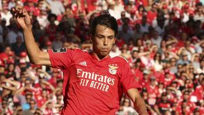 João Félix já esteve no Wanda e em Espanha diz-se que a oficialização será quarta-feira