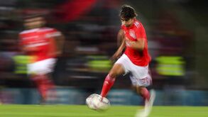 Atlético Madrid quer juntar estes nomes a João Félix